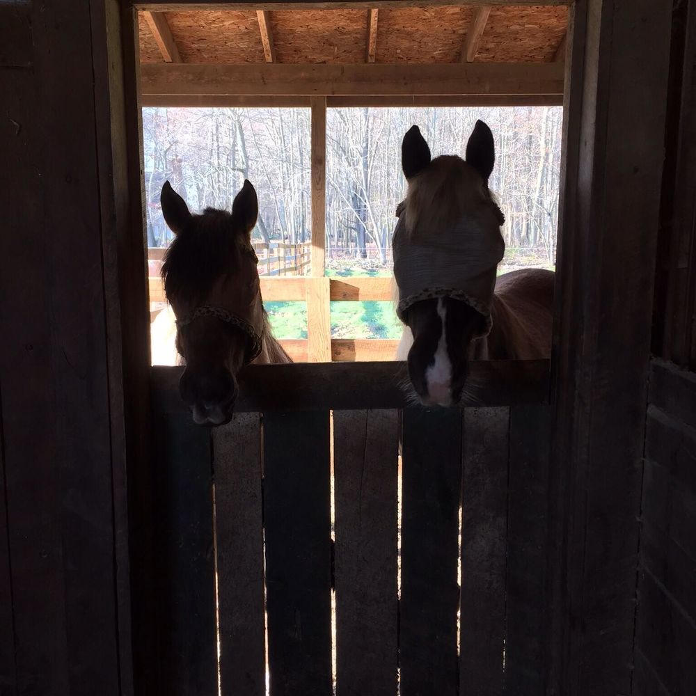 Meet your Posher, Bill